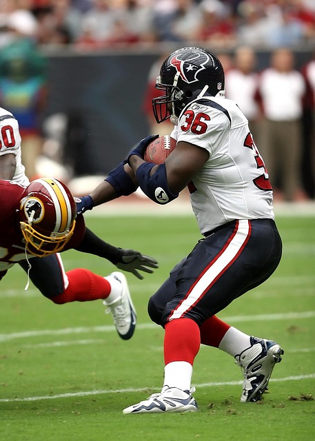 的发展指明 的发展指明