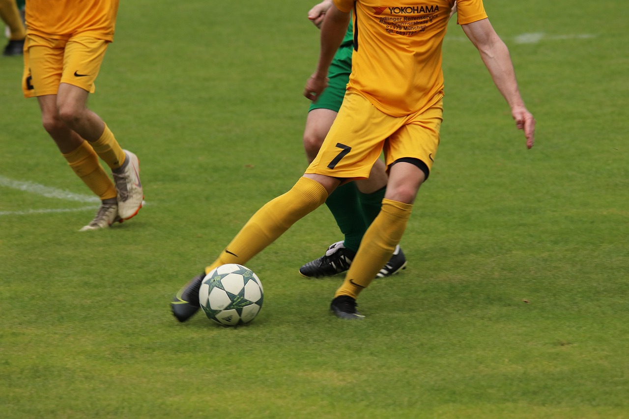 在过去的几 在过去的几