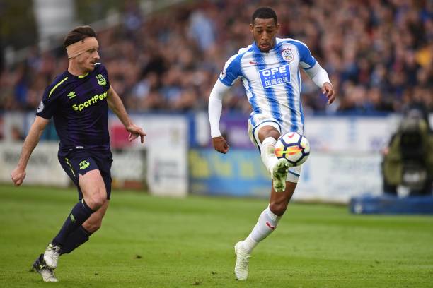 新与引入多 新与引入多